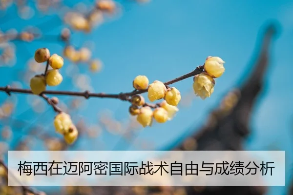 img_1787762540662_338_1_312.jpg